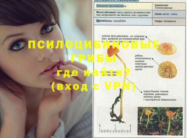 МДМА Заволжье