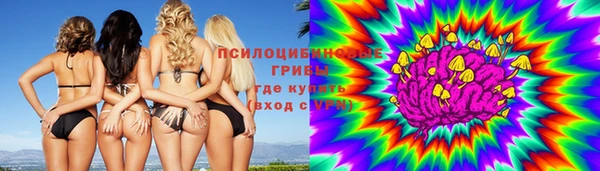 ГАЛЛЮЦИНОГЕННЫЕ ГРИБЫ Болхов