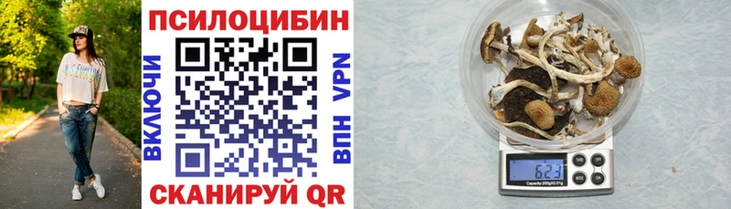 МЕГА tor  Избербаш  Псилоцибиновые грибы мухоморы  наркошоп 