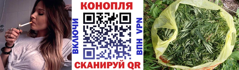 Бошки марихуана планчик  где продают   Избербаш 